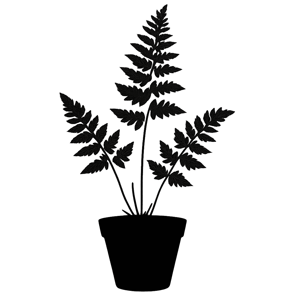Brittle bladder fern