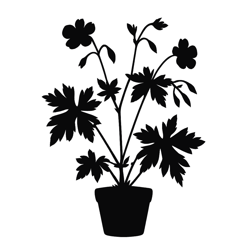 Long-stalked Crane's-bill