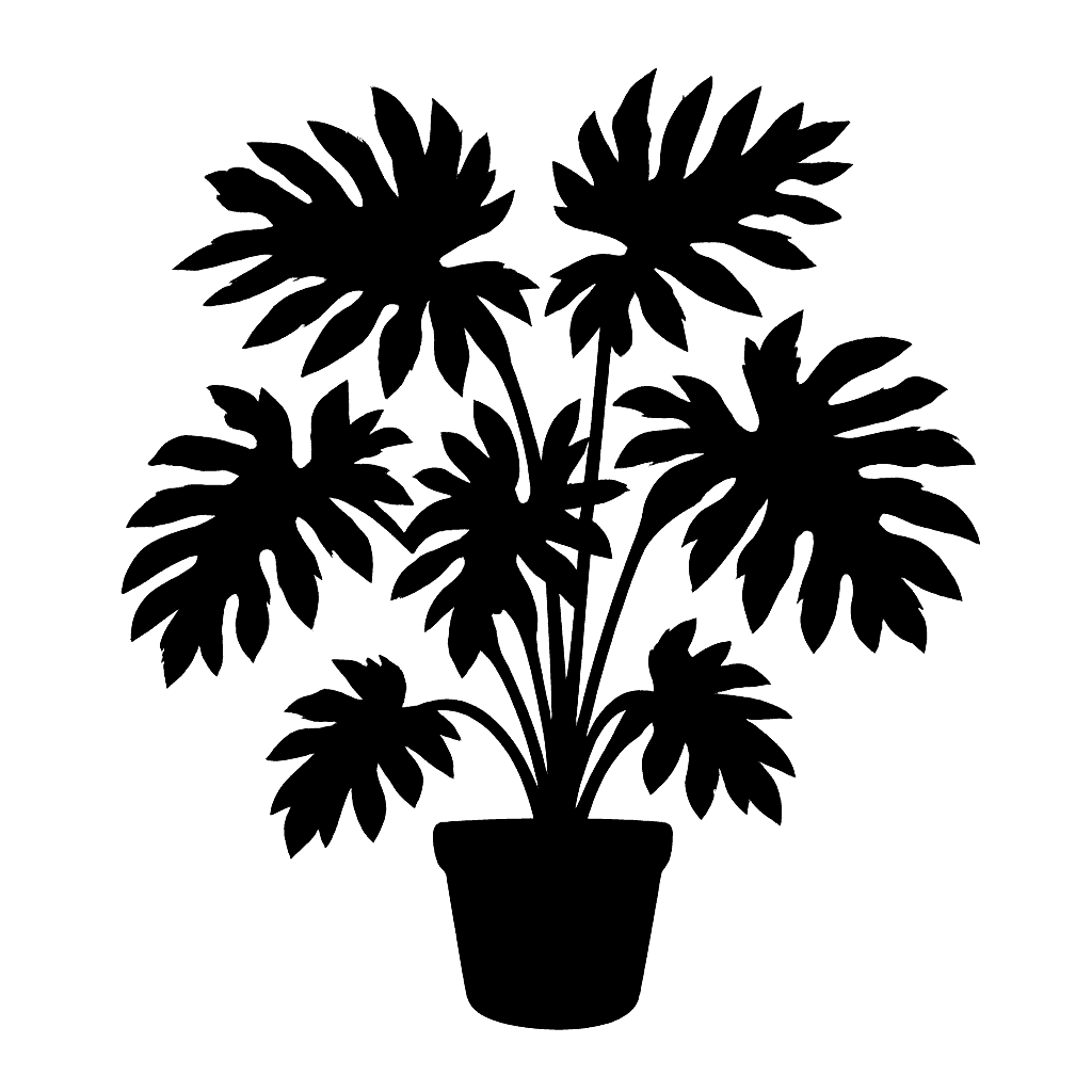 Radiate Philodendron