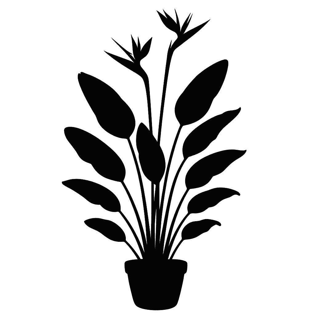 Strelitzia reginae