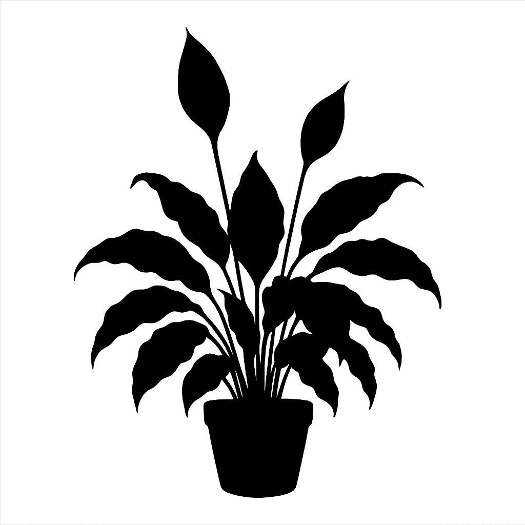 peace lily