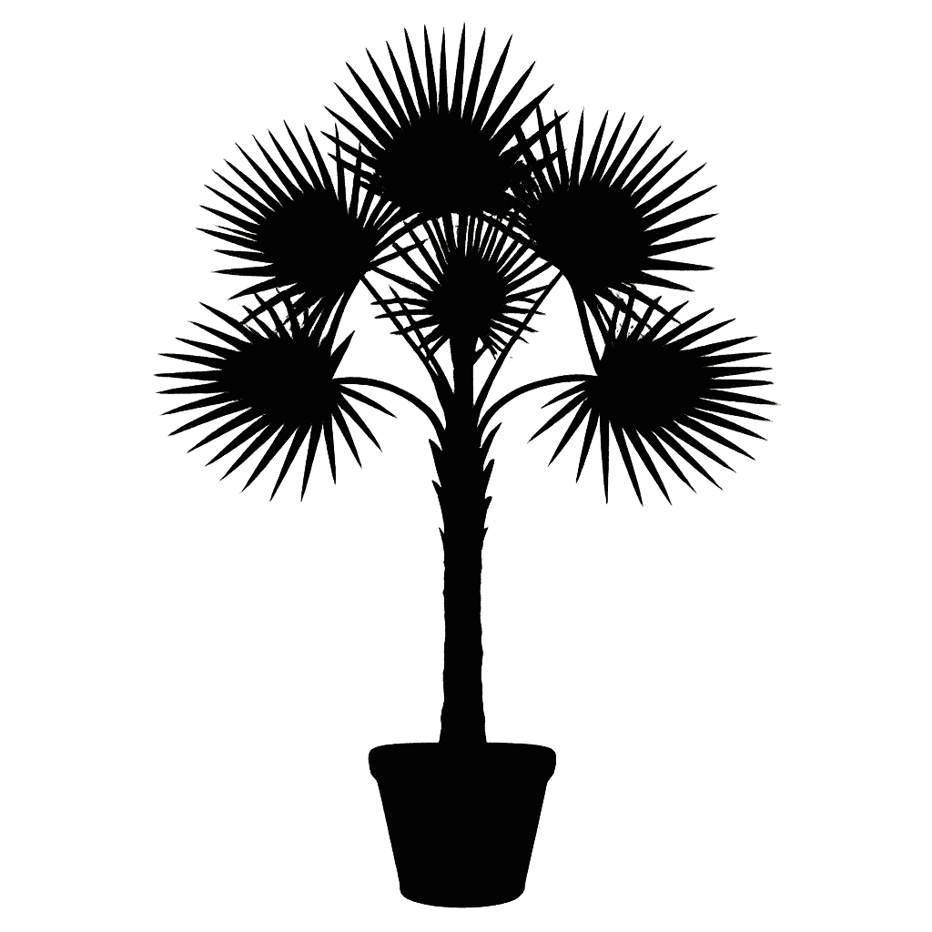Carandá Palm