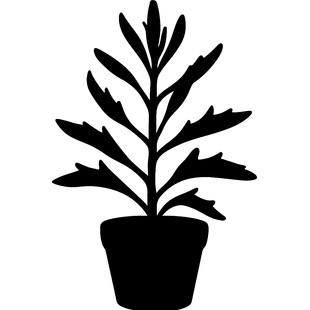 Spear Head