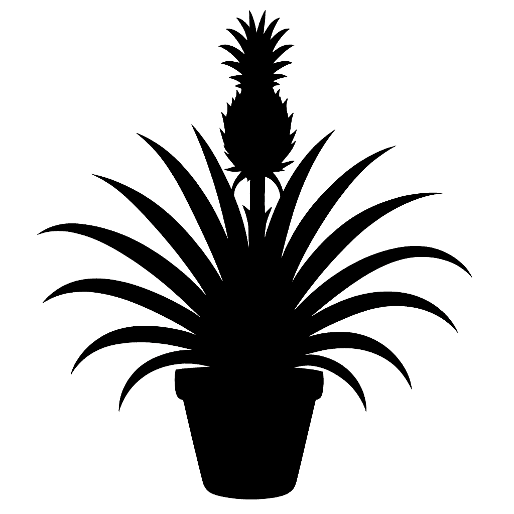 Red pineapple