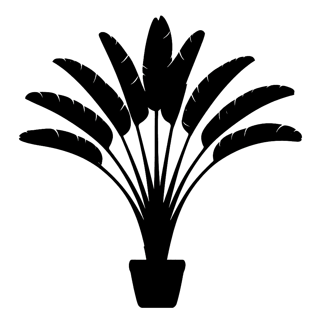 Traveler’s Palm
