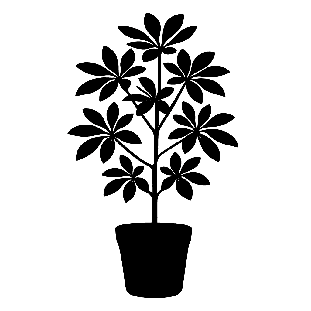 Simple-leaved raukawa