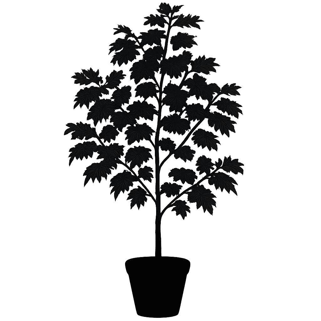 Cox’s Whitebeam