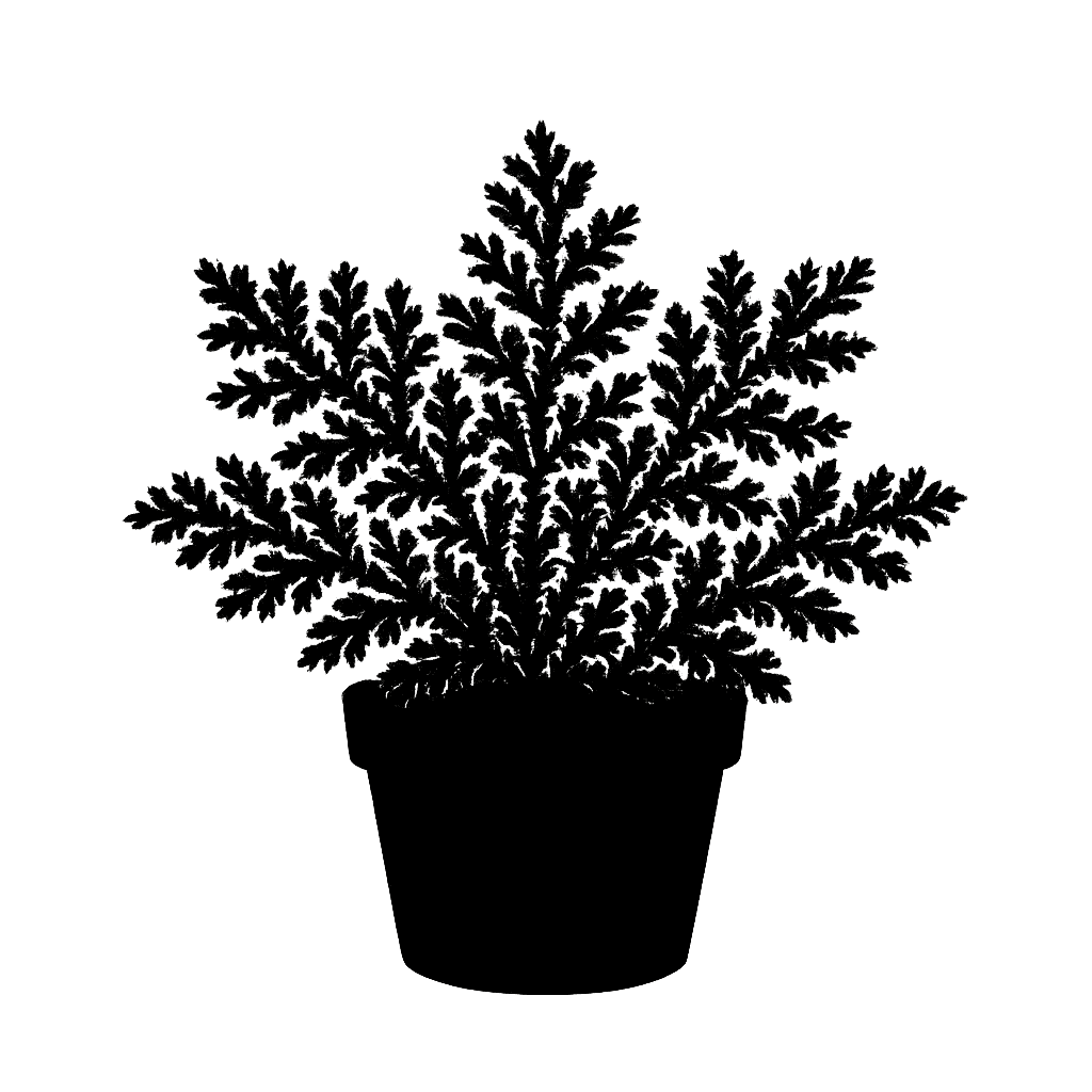 Krauss' spikemoss