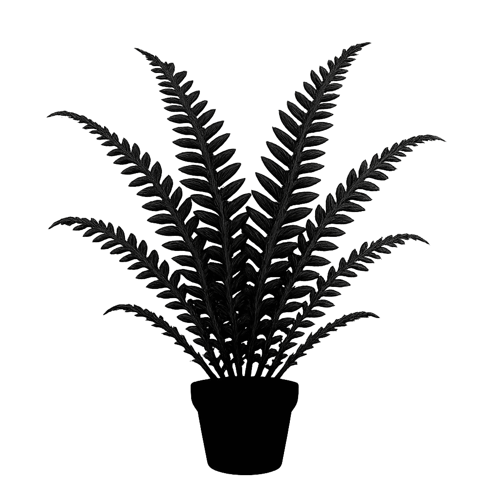 Austrogramme decipiens