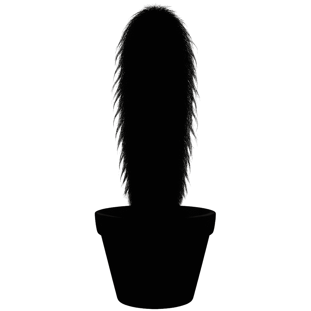 Old Man Cactus