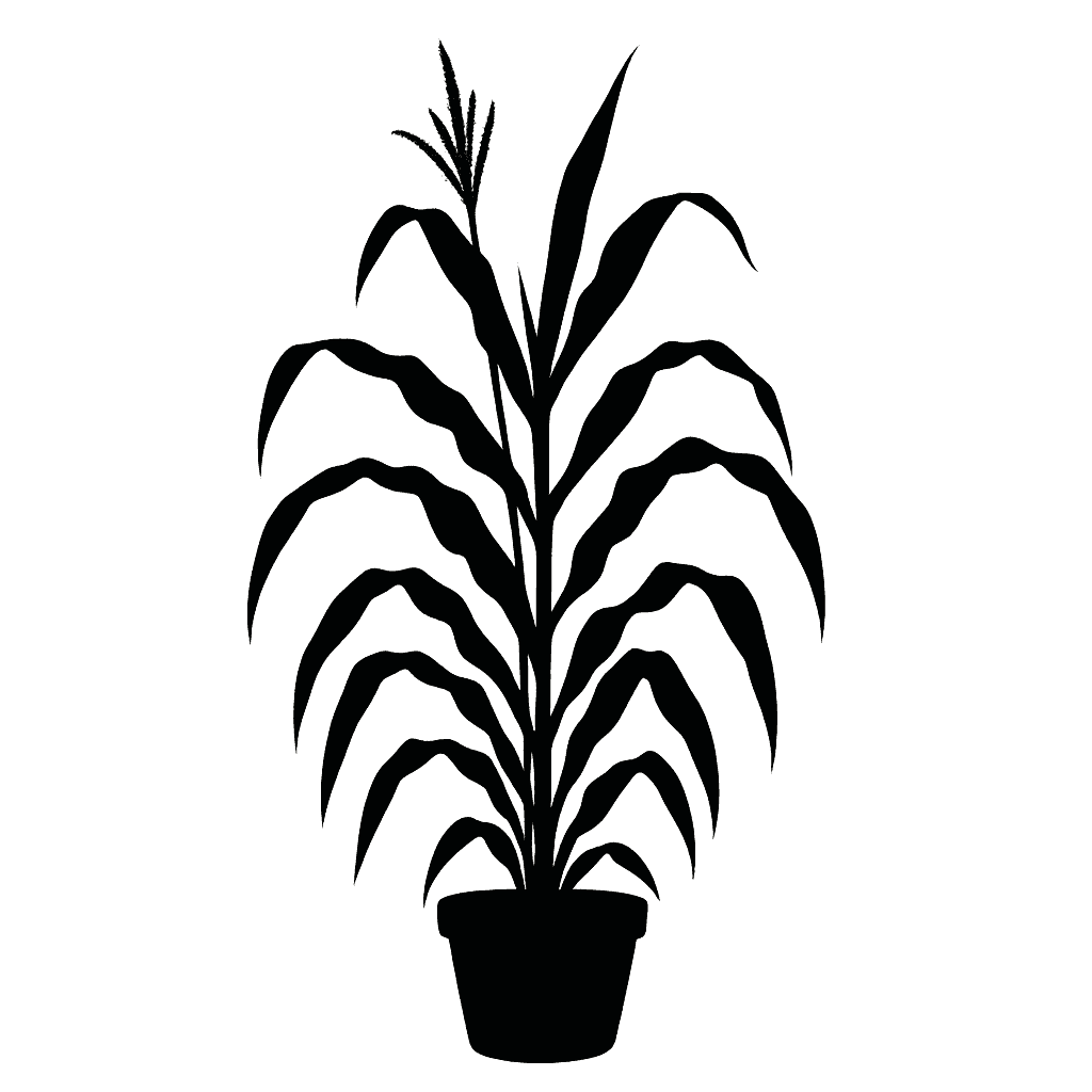 diploperennial teosinte