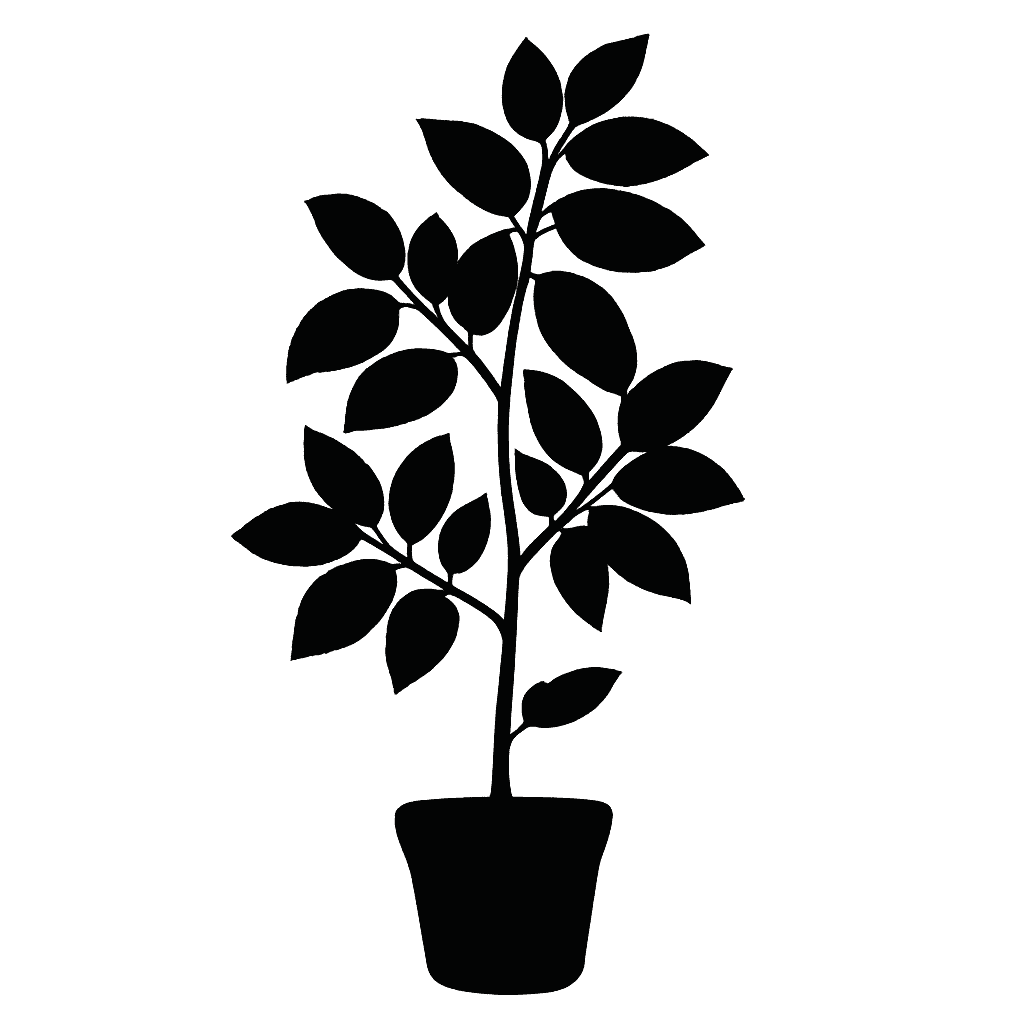 Cork-leaved Bayur