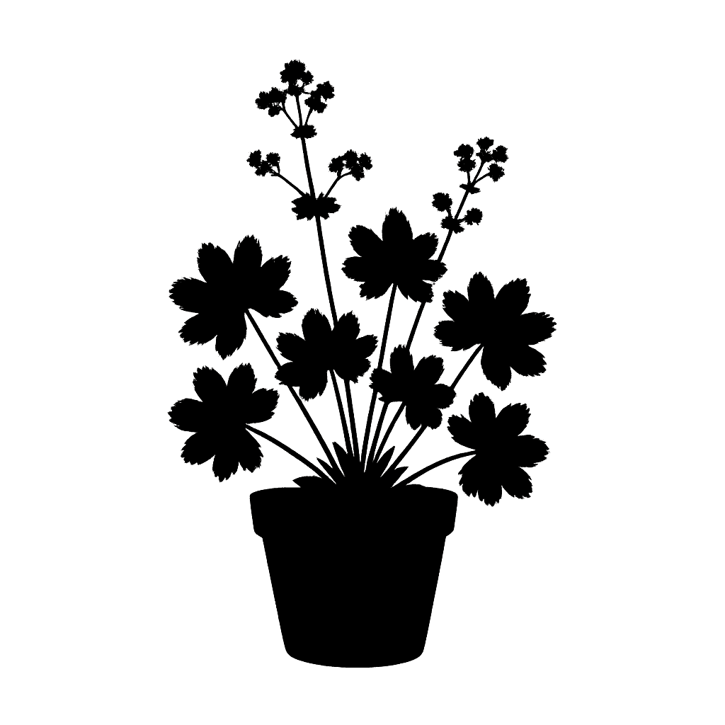Lady's mantle