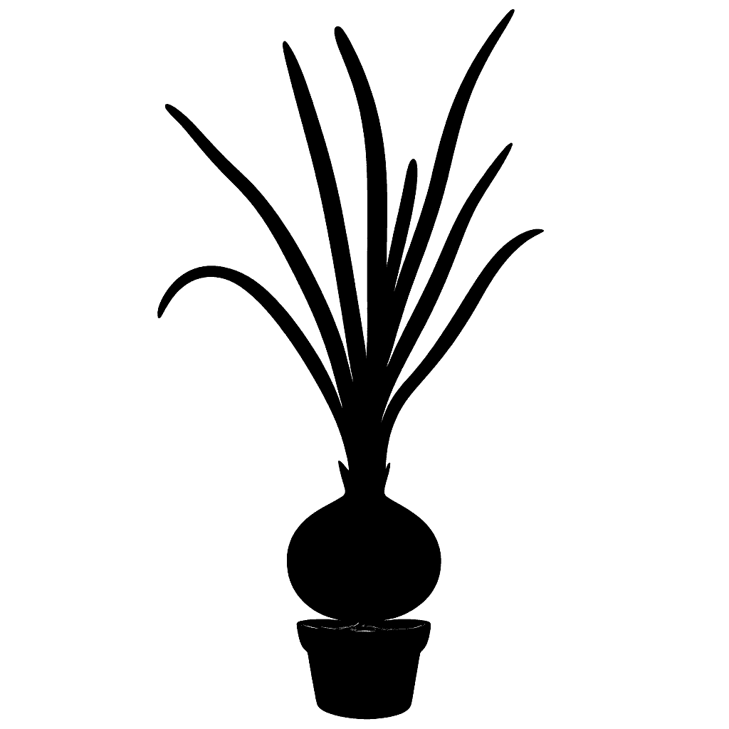 onion