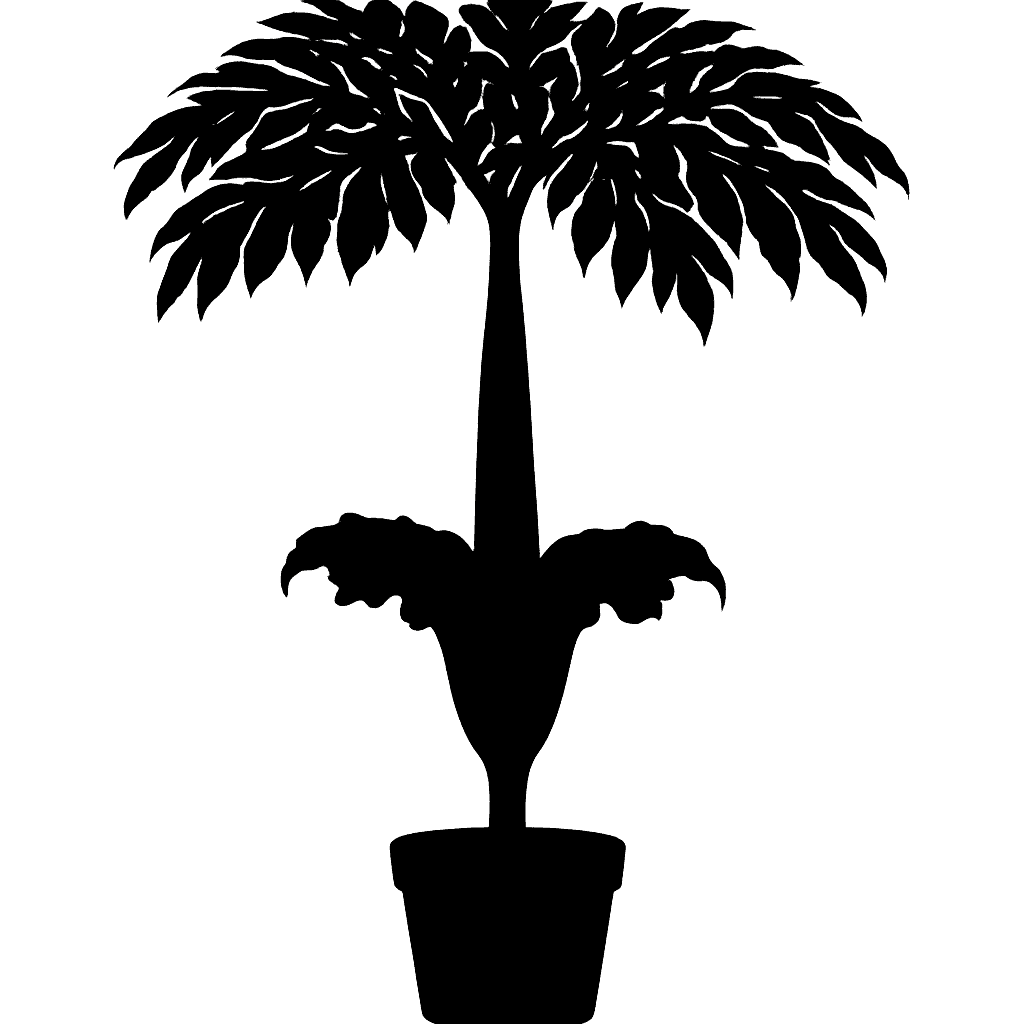 Decus-silvae corpse flower