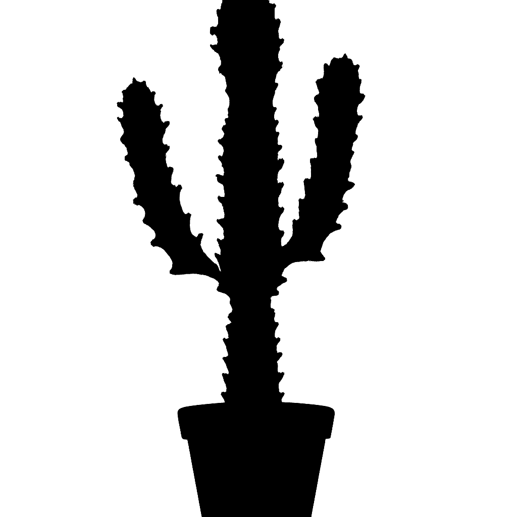 Crested Euphorbia