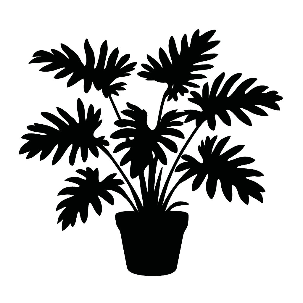 Xanadu Philodendron