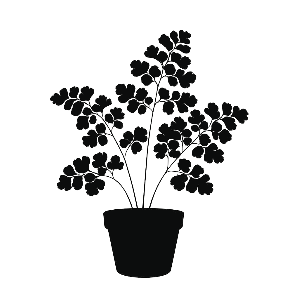 maidenhair fern