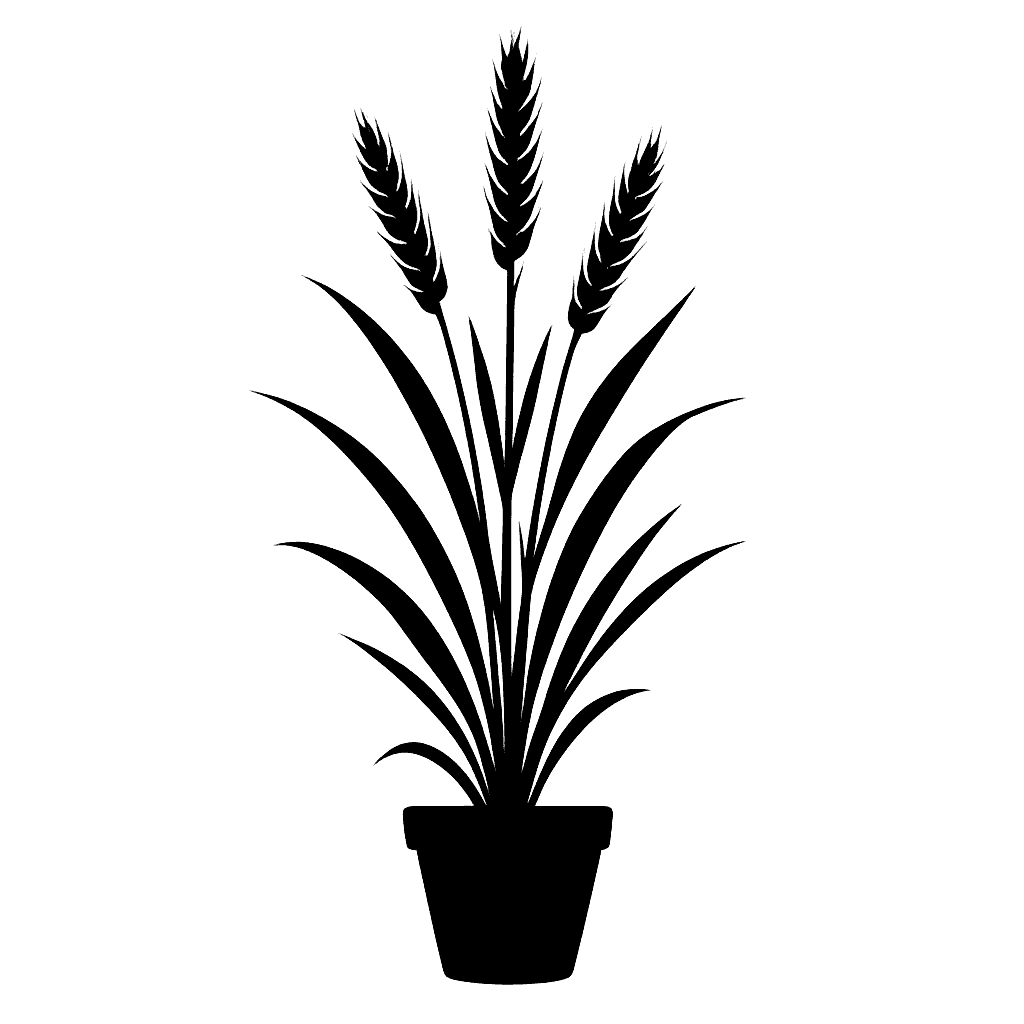 common wheat