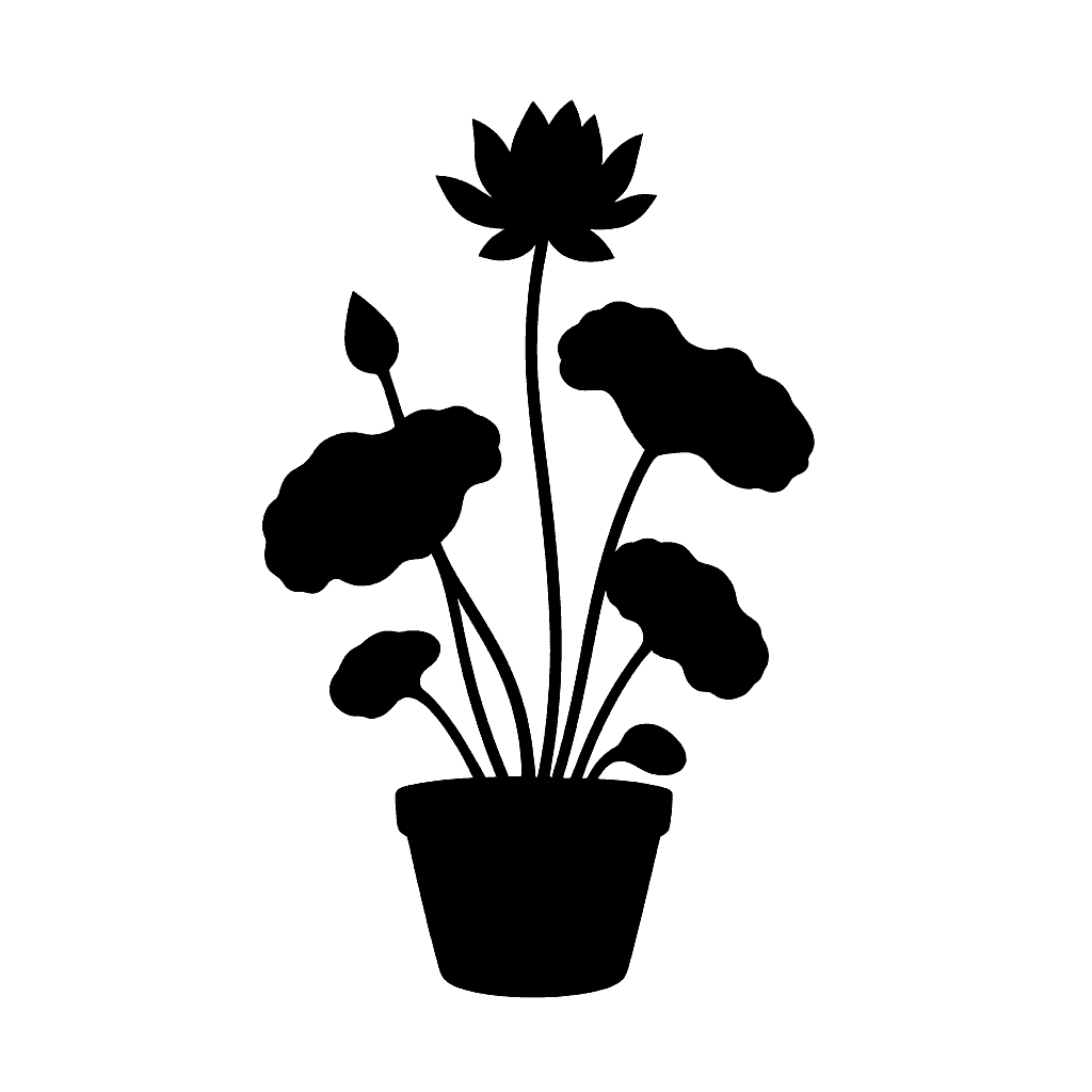 Sacred lotus