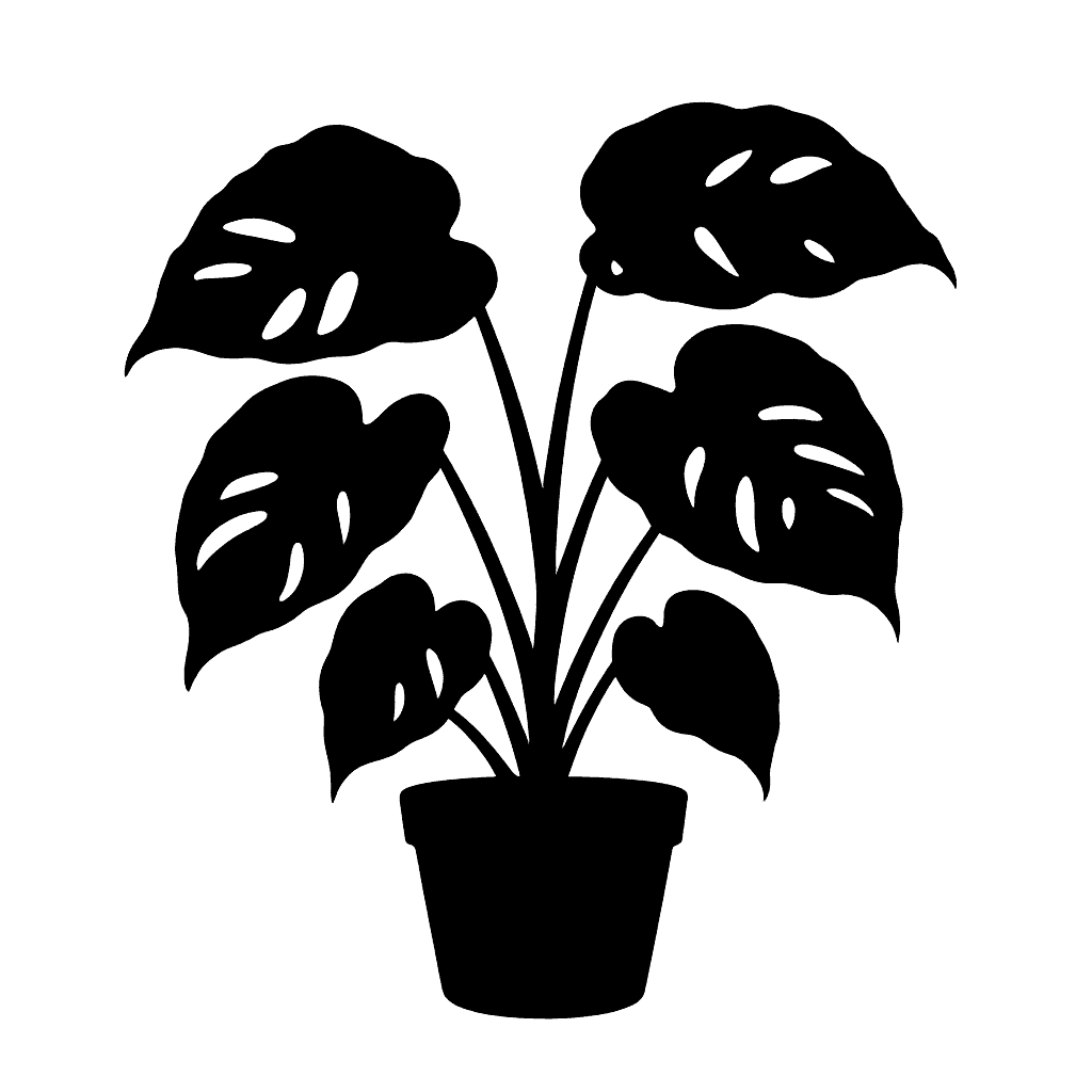 Meebold's Pothos