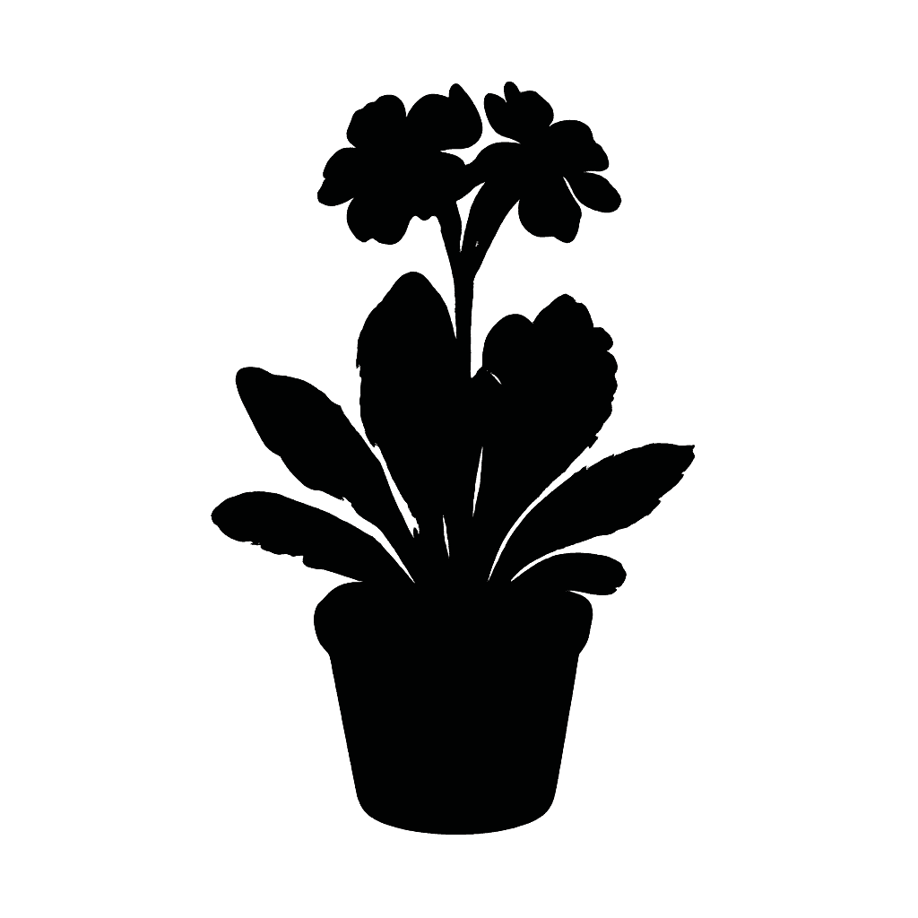Common primrose