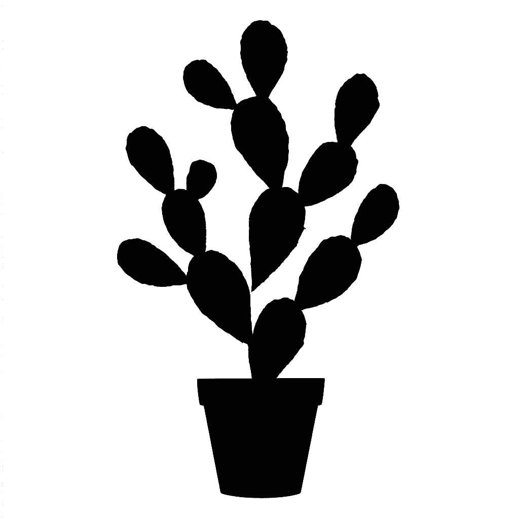 Bunny Ear Cactus
