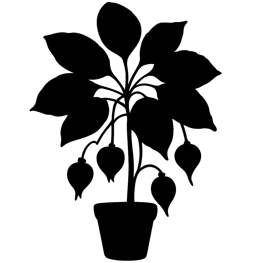 Chocó anthodiscus