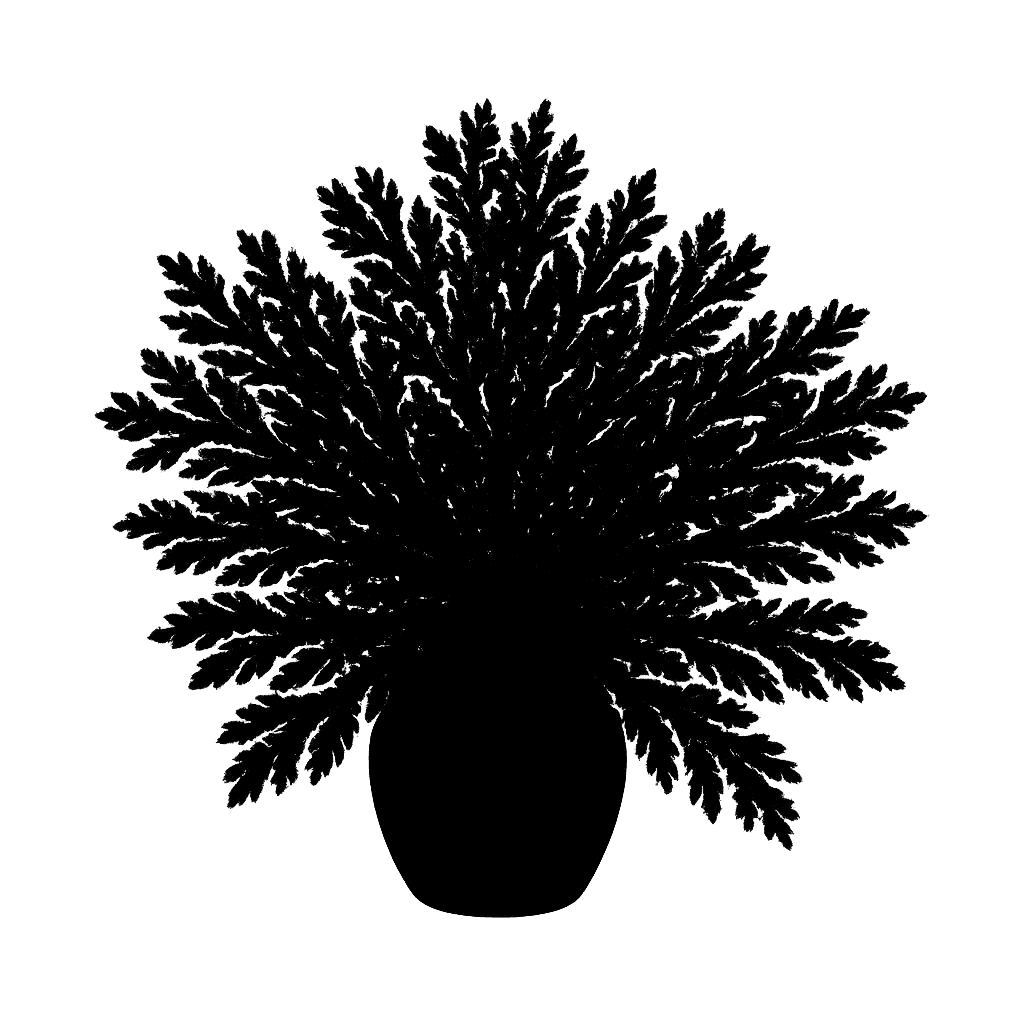 resurrection plant