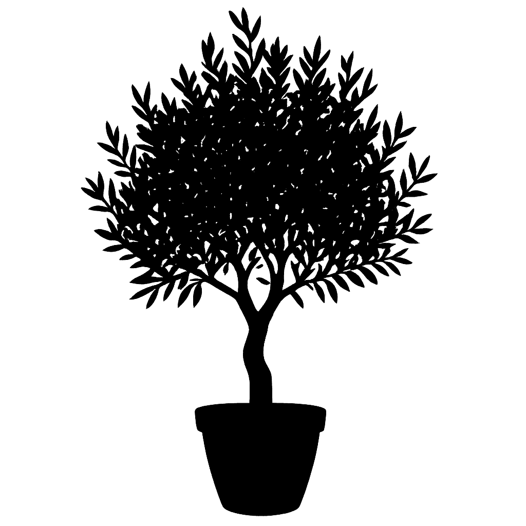 Olea europaea