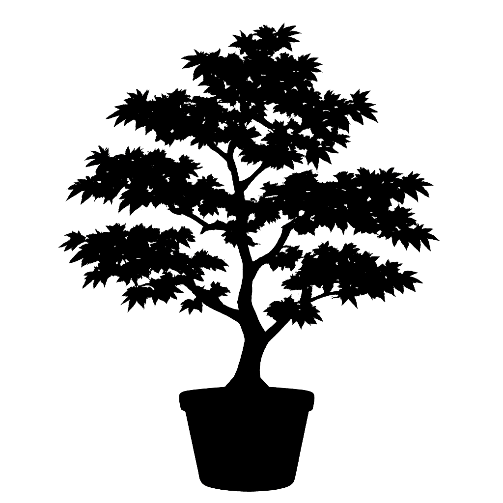 Japanese maple