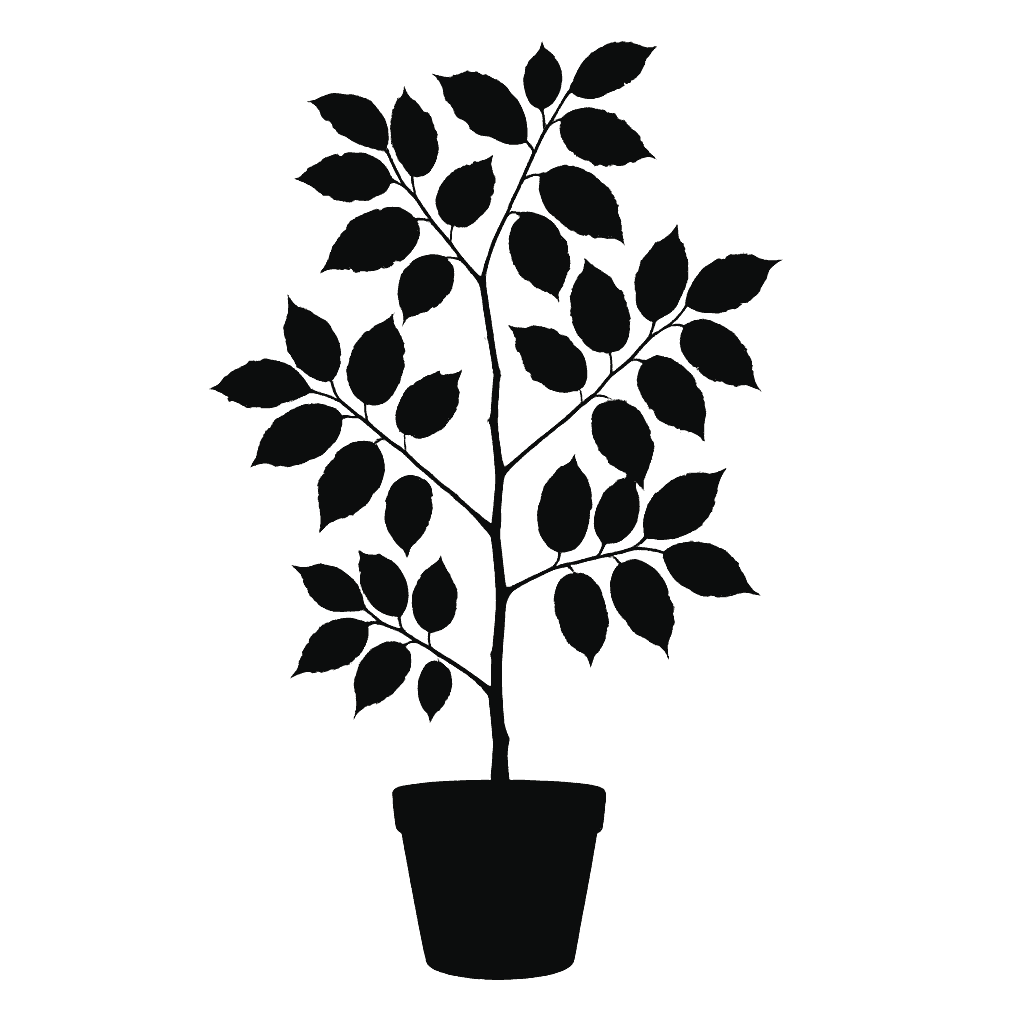 Oblique-leaved pterospermum