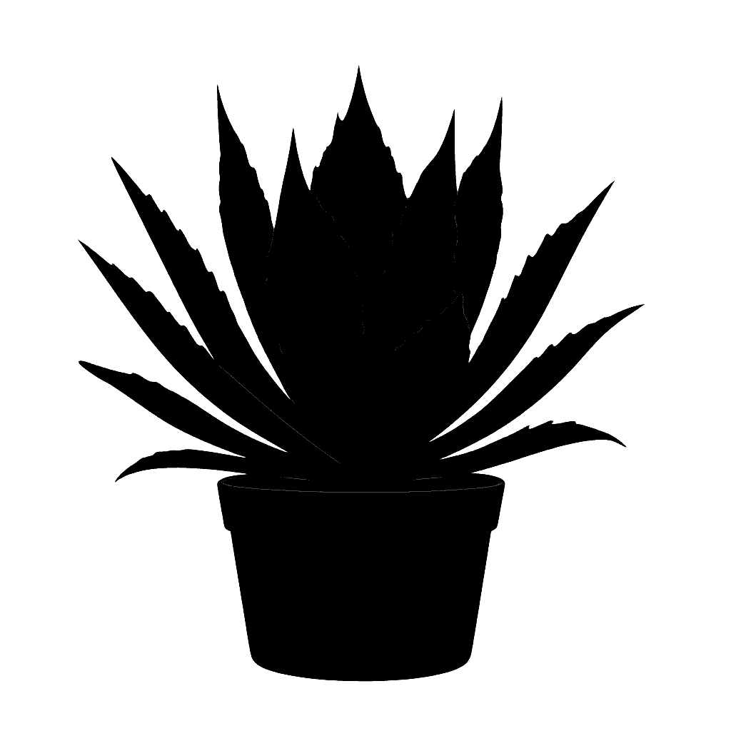 Agave parryi