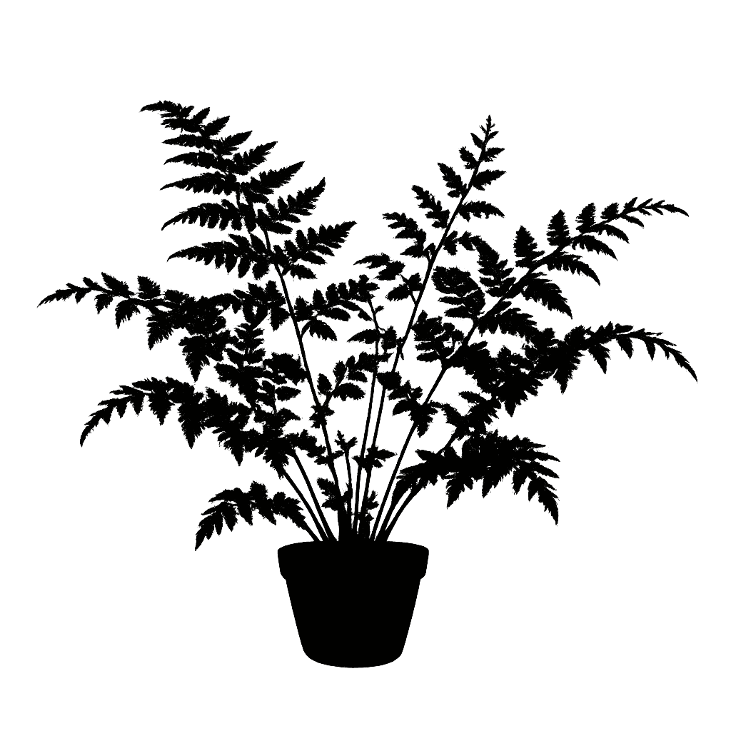 Chain fern