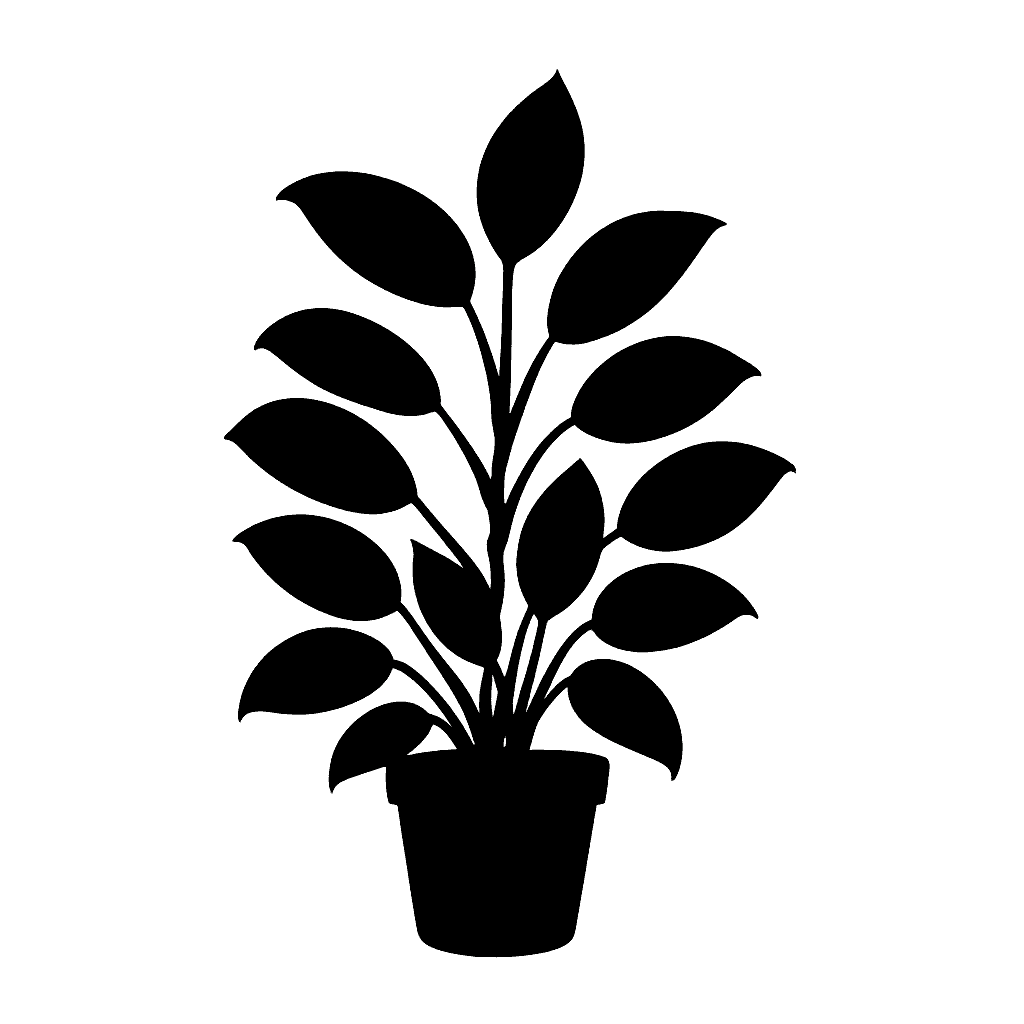 Moonlight Scindapsus
