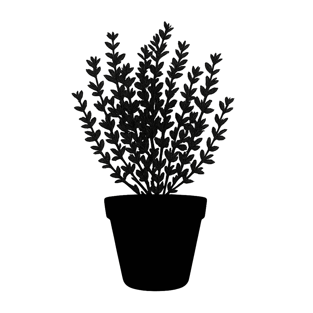 Thyme