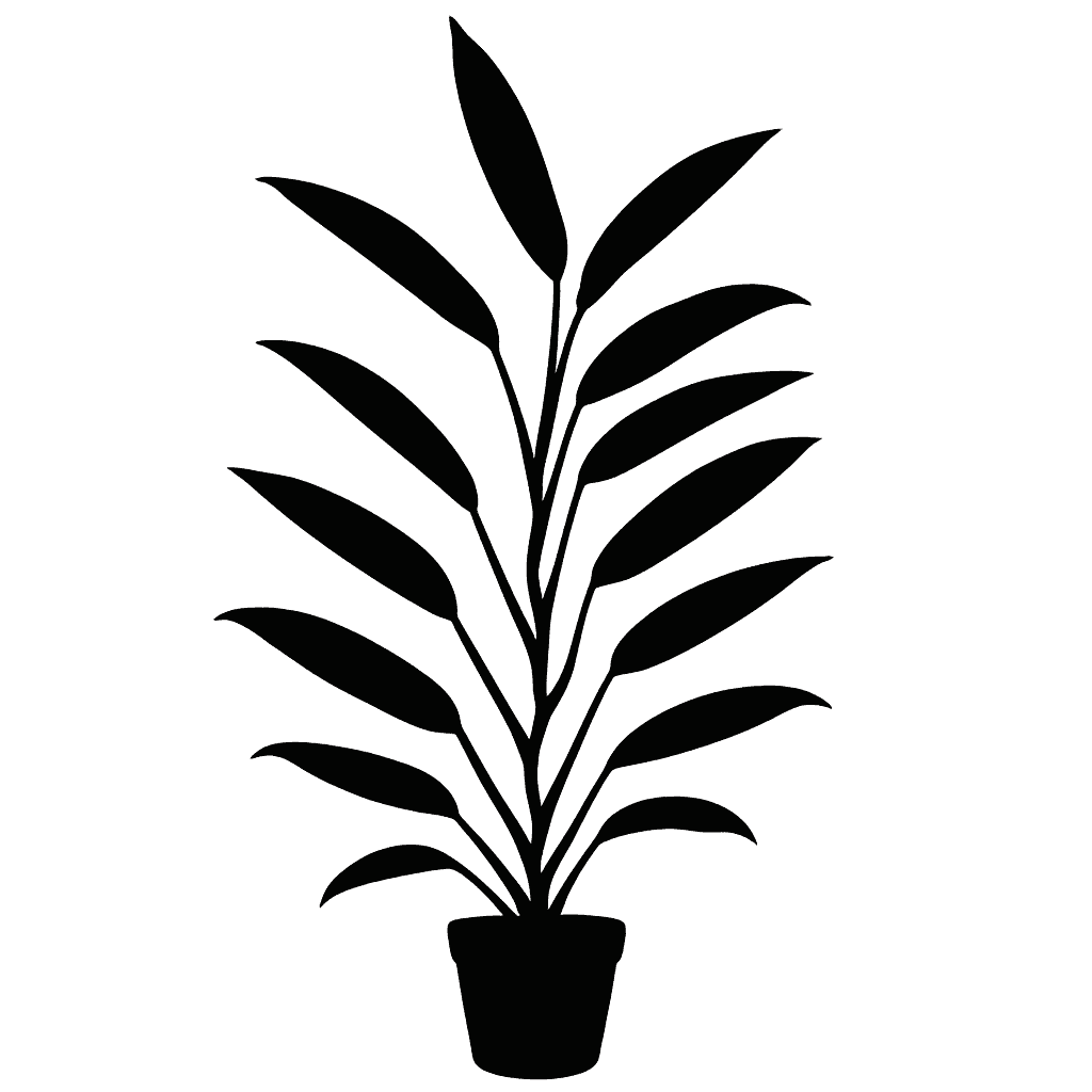 Epipremnum amplissimum