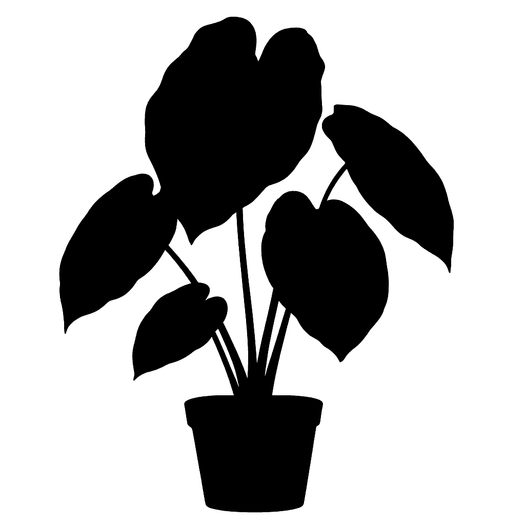 Mirror Plant