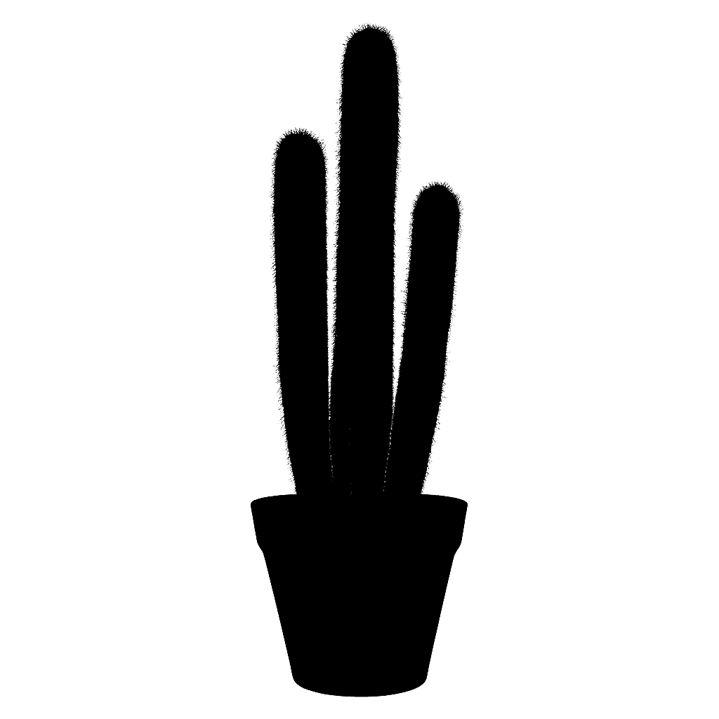 Blue Torch Cactus