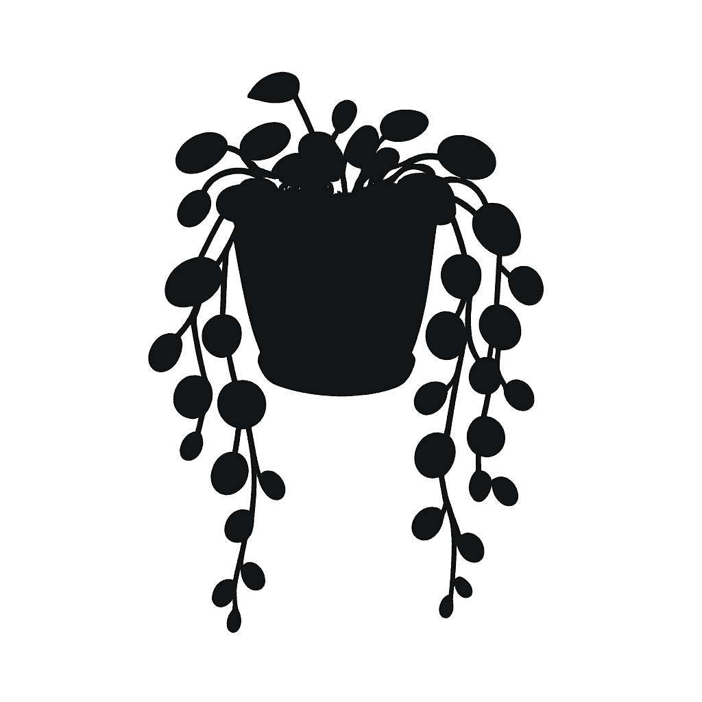 String of Turtles