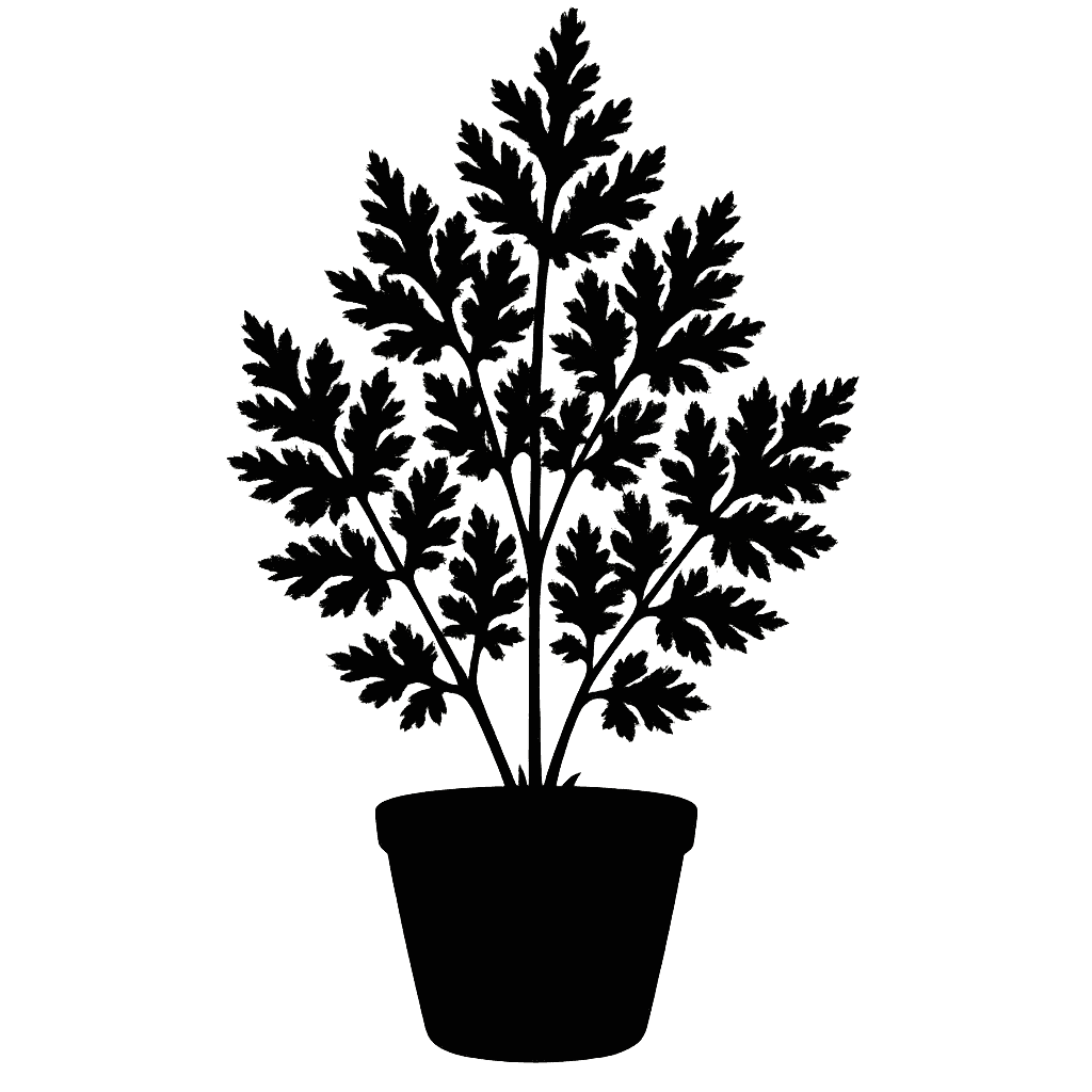 Phyllolobium eutrichus