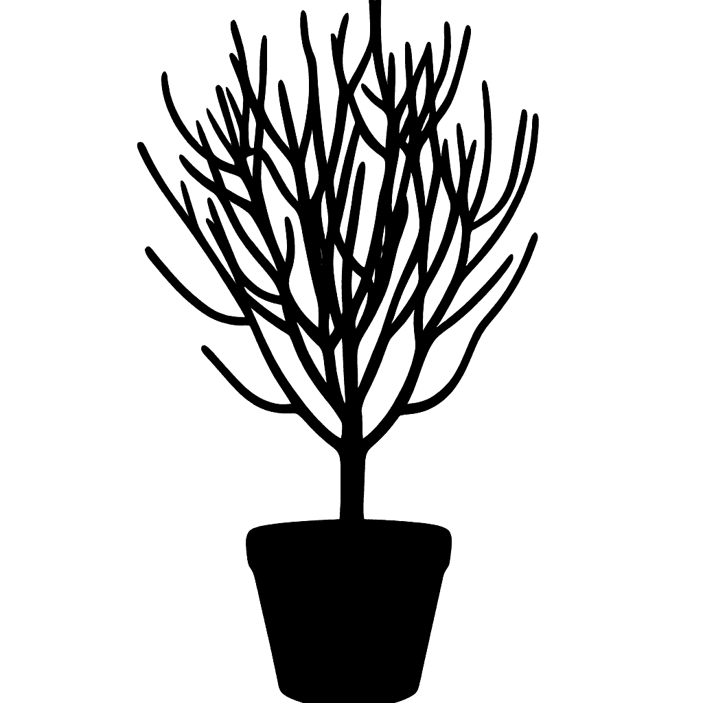Firesticks