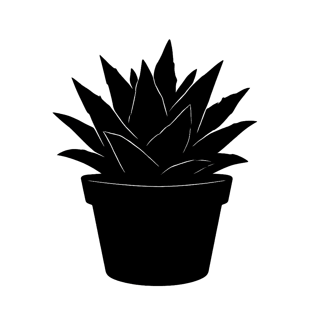 Living Rock Cactus