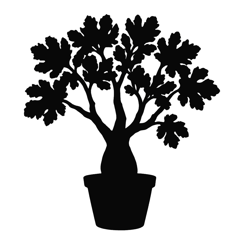 Namibian Grape