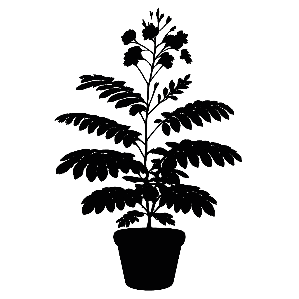 Peacock Flower