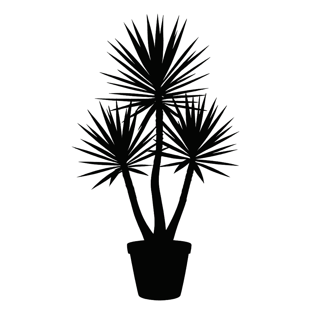Spineless Yucca