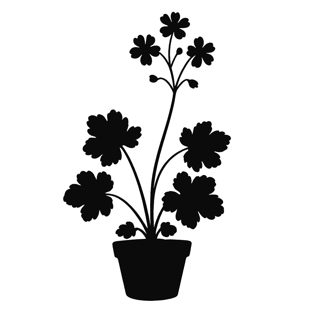 violet suksdorfia