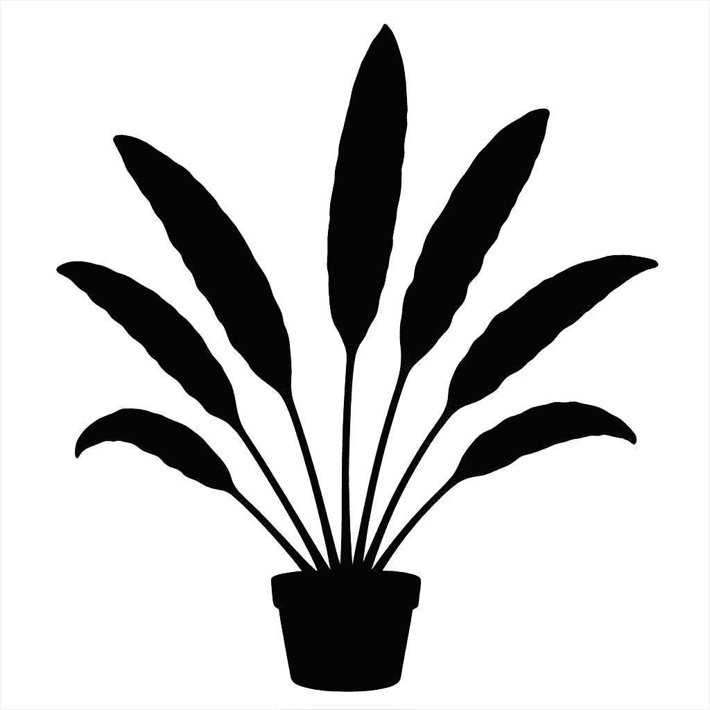 Elaphoglossum vieillardii