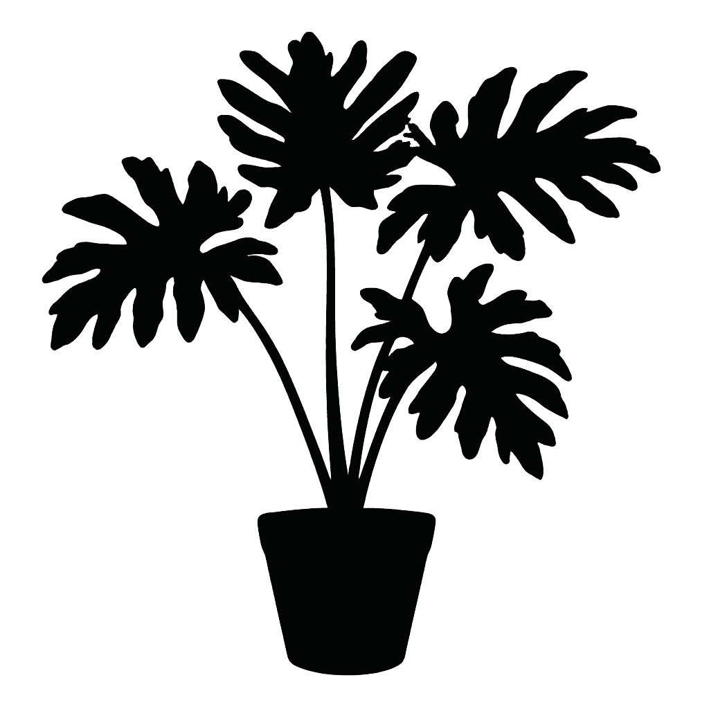 Tree Philodendron