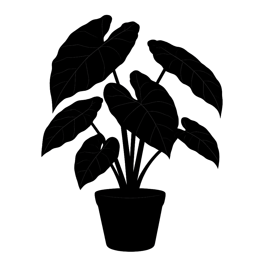 Mirror Alocasia